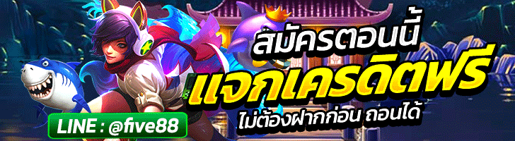 ผู้สนับสนุน