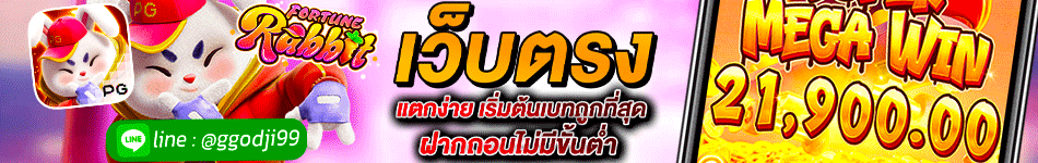 ผู้สนับสนุน